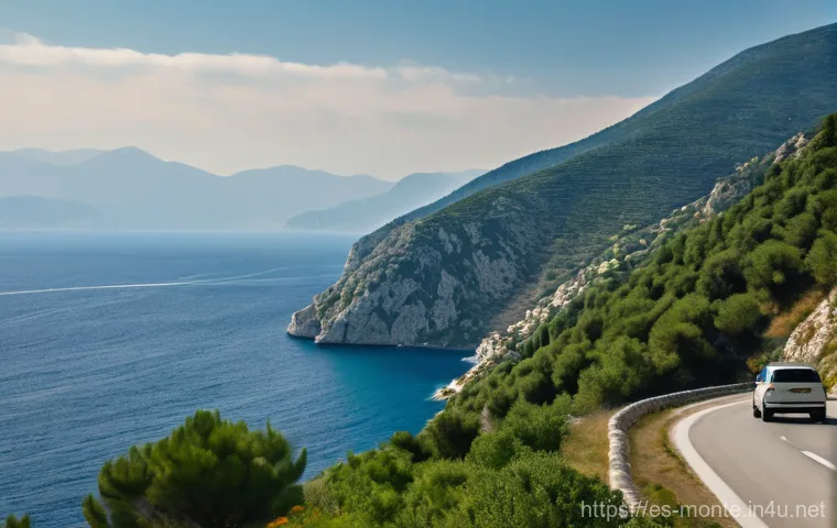 몬테네그로 비행기 노선 - **Prompt for the coastal beauty of Kotor Bay from Tivat:**
"A breathtaking, picturesque image sh... 몬테네그로 비행기 노선 - **Prompt for the coastal beauty of Kotor Bay from Tivat:**
"A breathtaking, picturesque image sh...