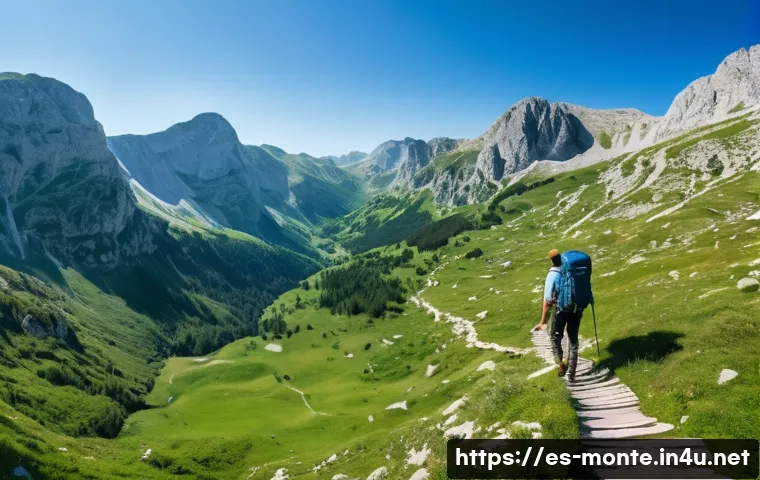 몬테네그로의 레저 문화 - A breathtaking panoramic view of Durmitor National Park in Montenegro during spring, showcasing a hi...